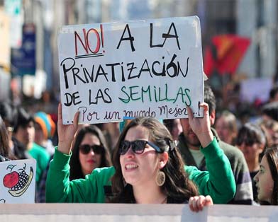 El tratado de libre comercio entre Guatemala y EUA obliga a Guatemala a adherirse al Convenio UPOV. pero la resistencia popular forzó al gobierno a repeler una ley nacional que se buscaba aprobar con este propósito. (Foto: Raúl Zamora) El tratado de libre comercio entre Guatemala y EUA obliga a Guatemala a adherirse al Convenio UPOV. pero la resistencia popular forzó al gobierno a repeler una ley nacional que se buscaba aprobar con este propósito. (Foto: Raúl Zamora)
