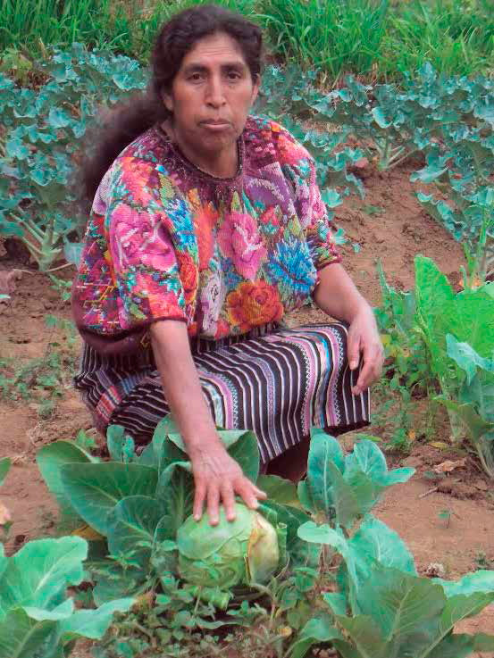 Biopoder: resultado del estrecho vínculo del campesino con la naturaleza. Fundebase