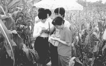 Agricultoras tomando notas en un campo de maíz / Foto: Yiching Song Agricultoras tomando notas en un campo de maíz / Foto: Yiching Song