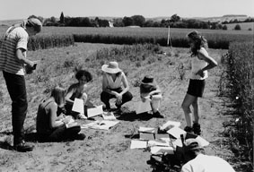 Analizando las posibilidades de desarrollo de la agricultura orgánica durante una práctica de campo / Foto: autor Analizando las posibilidades de desarrollo de la agricultura orgánica durante una práctica de campo / Foto: autor