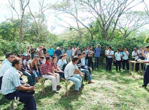 Encuentro de agricultores en una finca cafetalera para validar las experiencias de un agricultor en manejo de hormigas depredadoras / Foto: Autor Encuentro de agricultores en una finca cafetalera para validar las experiencias de un agricultor en manejo de hormigas depredadoras / Foto: Autor