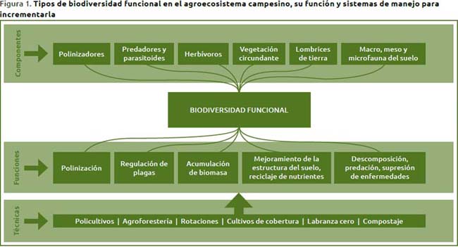 tipos de biodiversidad