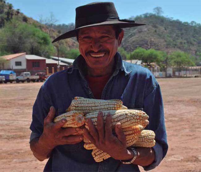Agricultor de Entre Ríos, Tarija, participante de la EARA. Mauricio Panozo