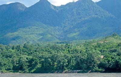 Nuestra integración con la biodiversidad en la amazonía andina se da con el agua, la chacra y el bosque, en una relación ritual con los cerros protectores. Autor