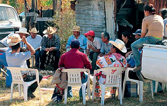 Diálogo de saberes entre agricultores y asesores. Patricia Kerenina
