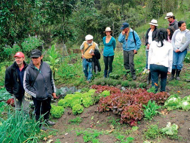 Aplicación de herramientas participativas en la comunidad. Angarita