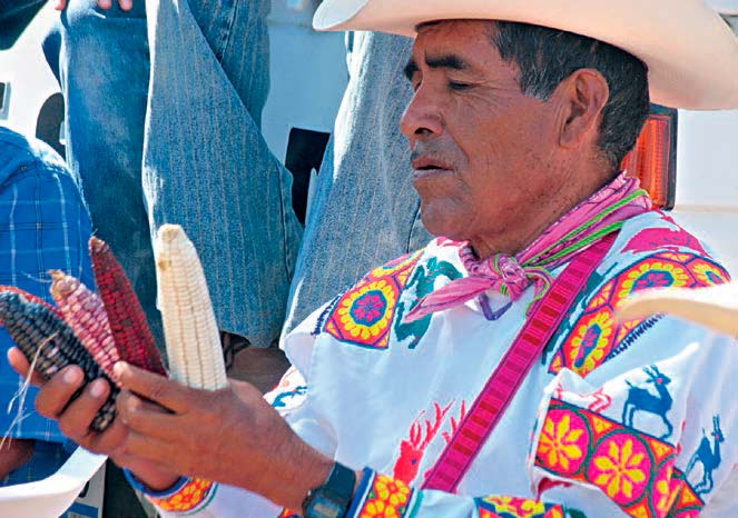 Los pueblos indios y la diversidad de las semillas. Patricia Kerenina