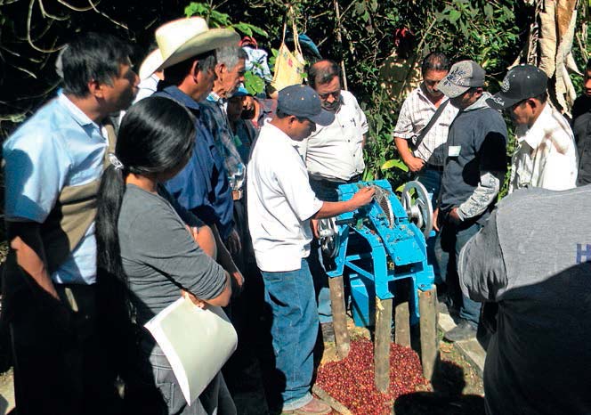 Intercambio de conocimientos entre técnicos y promotores de ECEA sobre despulpado de café en Alitze, Aquismón. Ramón Jarquin