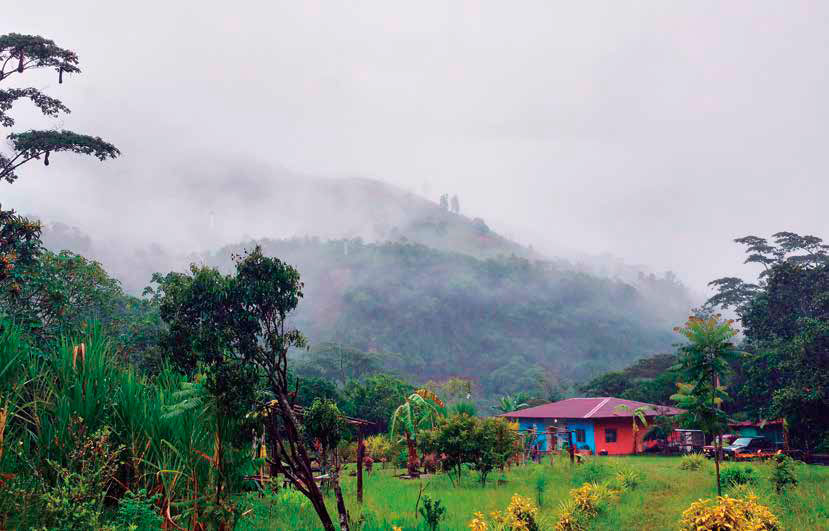 Vista de la Finca Huyro. GRUPO PUCP