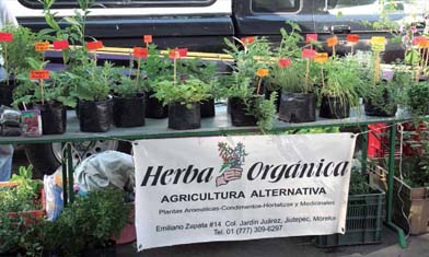 Muestra de los productos de Herba-orgánica