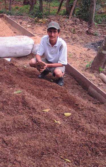 Servio Pachard, coautor y director del estudio del arroz con patos, procesando carbón de cascarilla de arroz para usarlo como fijador de abonos en la huerta Red Guardianes de Semillas