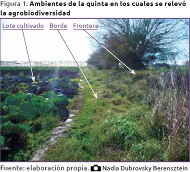 Fuente: elaboración propia. Nadia Dubrovsky Berensztein