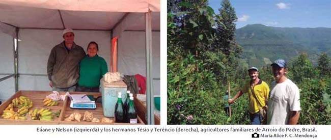 Eliane y Nelson, y las de los hermanos Tésio y Terêncio viven en la comunidad Arroio do Padre
