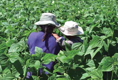 Las brechas de género y de edad amenazan a la agricultura familiar. Claudia Calderón