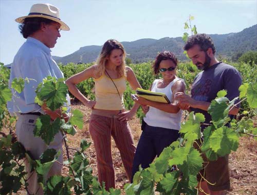 Visita a los campos de ensayos de calidad de vid en la zona del Mediterráneo, España. Equipo de trabajo de la aut