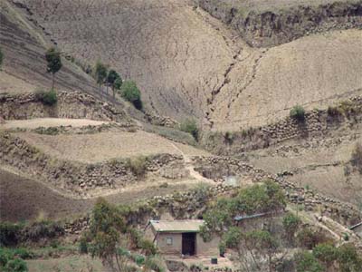 La erosión de las cangahuas. Autores