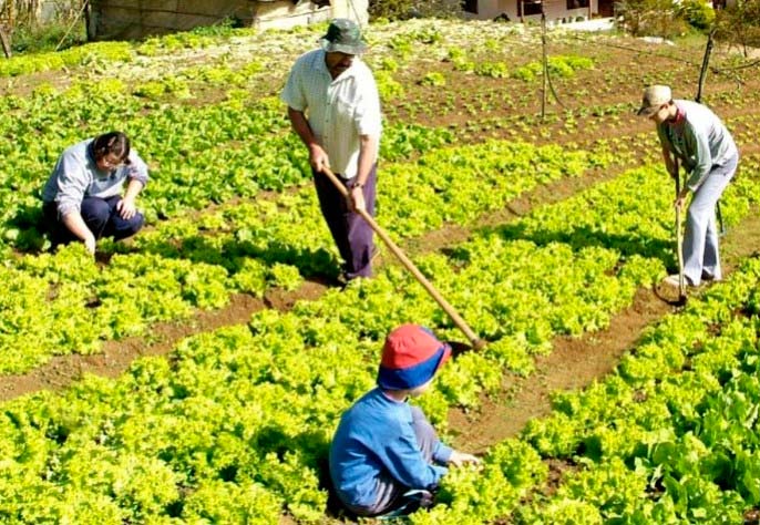 Barcelona De acuerdo con principal Leisa - La agricultura familiar en la agenda de desarrollo sostenible Barcelona De acuerdo con principal Leisa - La agricultura familiar en la agenda de desarrollo sostenible