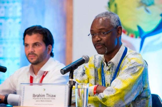 “El tiempo apremia y debemos dotarnos de un plan de acción adecuado”, dijo el director adjunto del Programa de la ONU para el Medio Ambiente (PNUMA), Ibrahim Thiaw, en la inauguración de la COP13. EFE/Captura FB “El tiempo apremia y debemos dotarnos de un plan de acción adecuado”, dijo el director adjunto del Programa de la ONU para el Medio Ambiente (PNUMA), Ibrahim Thiaw, en la inauguración de la COP13. EFE/Captura FB