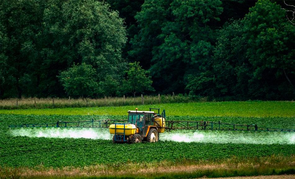 Un agricultor pulveriza pesticida en un campo en Bailleul, Francia, en junio de 2015.