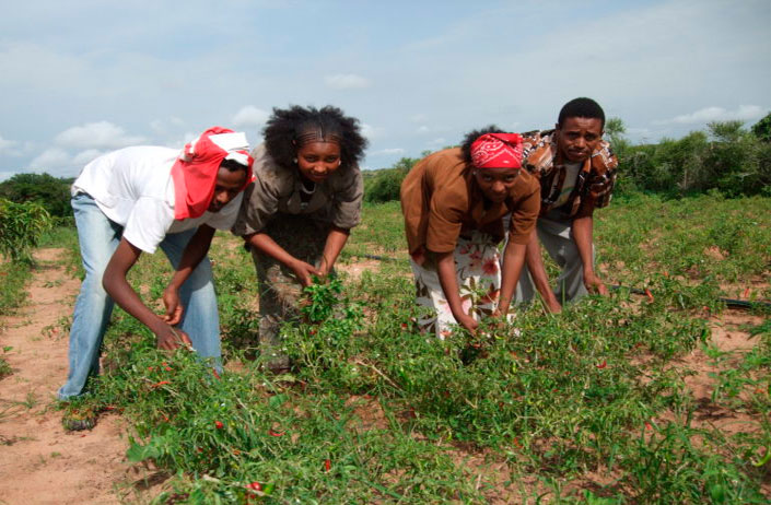 Se requiere más inversión en la agricultura de pequeña escala