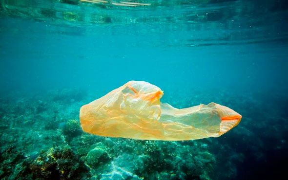 Bolsa de plástico flotando sobre un arrecife de coral en Pulau Bunaken. Foto: Paul Kennedy Getty Images
