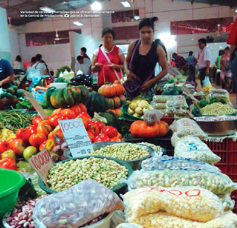 Variedad de cereales y hortalizas que se ofrecen semanalmente en la Central de Productores. Gabriel B. Fernandes