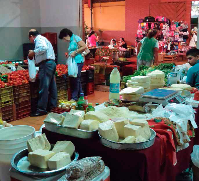 Variedade de productos agroecológicos, lácteos y produtos hortícolas para comercialización. Gabriel B. Fernandes