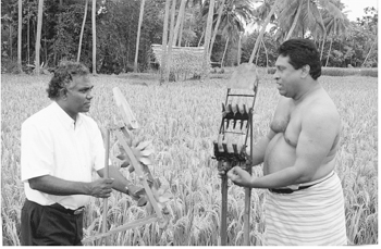 En Sri Lanka, los agricultores están desarrollando una nueva herramienta manual para el deshierbe con el fin de lograr que el SIA sea menos intensivo en mano de obra / Foto: Norman Uphoff En Sri Lanka, los agricultores están desarrollando una nueva herramienta manual para el deshierbe con el fin de lograr que el SIA sea menos intensivo en mano de obra / Foto: Norman Uphoff