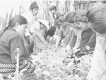 Miembros del Comité y del Grupo Femenino trabajando en el vivero / Foto O. Murga Miembros del Comité y del Grupo Femenino trabajando en el vivero / Foto O. Murga