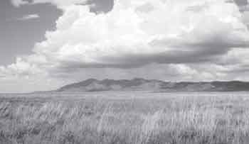 Esta foto muestra la planicie conocida como Animas Valley en el suroeste de Nuevo México, y que hace parte del Gray Ranch, propiedad de los casi veinte propietarios que pertenecen al Grupo Malpai / Foto: D. Imhoff Esta foto muestra la planicie conocida como Animas Valley en el suroeste de Nuevo México, y que hace parte del Gray Ranch, propiedad de los casi veinte propietarios que pertenecen al Grupo Malpai / Foto: D. Imhoff