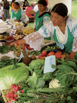 Comerciantes mostrando sus productos en el Primer Encuentro de las Canastas Comunitarias de Quito, una feria organizada por la red de consumidores de Quito en noviembre de 2007 / Foto: autora Comerciantes mostrando sus productos en el Primer Encuentro de las Canastas Comunitarias de Quito, una feria organizada por la red de consumidores de Quito en noviembre de 2007 / Foto: autora