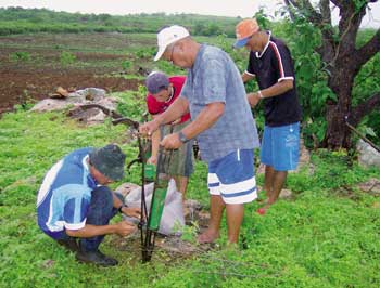 Al tener acceso a la tierra se puede comenzar a plantar cultivos para el consumo doméstico o para la venta en el mercado local / Foto: AS -PTA Al tener acceso a la tierra se puede comenzar a plantar cultivos para el consumo doméstico o para la venta en el mercado local / Foto: AS -PTA
