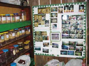 Los bancos de semillas tales como este en el distrito de Otoro son manejados por los mismos agricultores, salvaguardando su control sobre las semillas y recursos genéticos locales / Foto: Autor