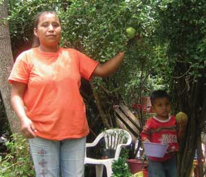 Mujer campesina de Progreso Hidalgo, Estado de México, en compañía de su hijo, recolecta frutos en su huerto para complementar la dieta alimentaria de su familia / Foto: Víctor M. Suárez Gómez Mujer campesina de Progreso Hidalgo, Estado de México, en compañía de su hijo, recolecta frutos en su huerto para complementar la dieta alimentaria de su familia / Foto: Víctor M. Suárez Gómez
