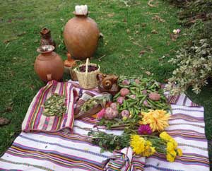 La regeneración de los alimentos es sagrada. Se realizan ceremonias para ayudar a las plantas a culminar su proceso de maduración. Las primeras cosechas son ofrendadas a la Pachamama, a los Apu, a las deidades y a los ancestros como expresión de reciprocidad, cariño y respeto / Foto: CEPROSI La regeneración de los alimentos es sagrada. Se realizan ceremonias para ayudar a las plantas a culminar su proceso de maduración. Las primeras cosechas son ofrendadas a la Pachamama, a los Apu, a las deidades y a los ancestros como expresión de reciprocidad, cariño y respeto / Foto: CEPROSI