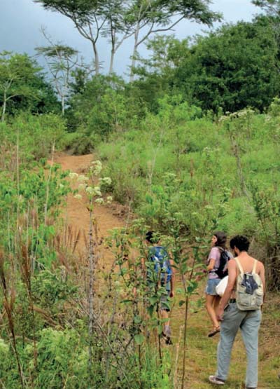 Estudiantes en el paisaje. Autor