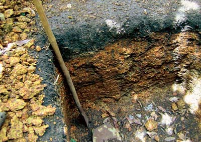 Terra Preta de Índio (TPI), cerca de ríos secundarios. Programa de Investigación en Biodiversidad, Brasil (http://ppbio.inpa.gov.br/)
