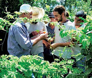 Intercambio de experiencias con Remo Venica (Naturaleza Viva). Luis Caballero