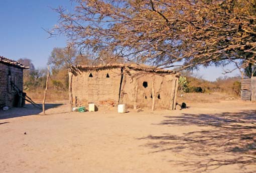 Proyección de sombra en el ámbito peridoméstico o patio de una vivienda típica en Los Juríes, Santiago del Estero. Autora