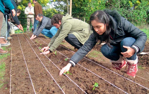 Trabajo en el Faro Agroecológico, Bio-Bio, Chile. A. Infante (ver p. 23)