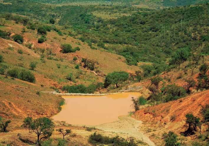 Represa Yucunuti de Benito Juárez. Autores