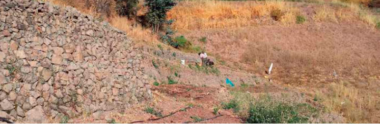 Andenes con muros de contención de piedra y riego tecnificado (Fundo Shaja, p. 13). Nelly Javier García