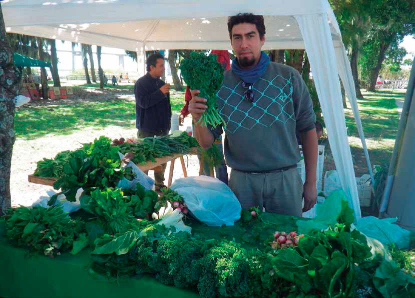 Feria Costa de Alta. Autor