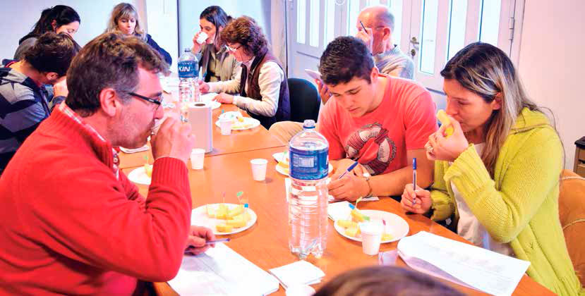 Taller de consumidores realizado en Tandil en julio de 2017. Autoras