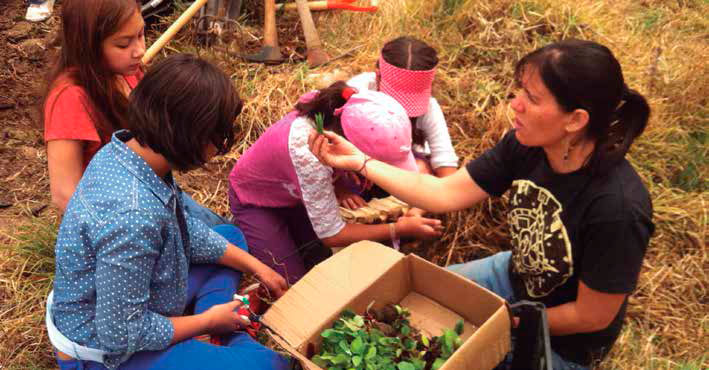 Actividad de consumidores en las parcelas de San Juan Atzacualoya. Clara Salinas