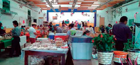 Tianguis Orgánico Chapingo (TO CH). Autoras