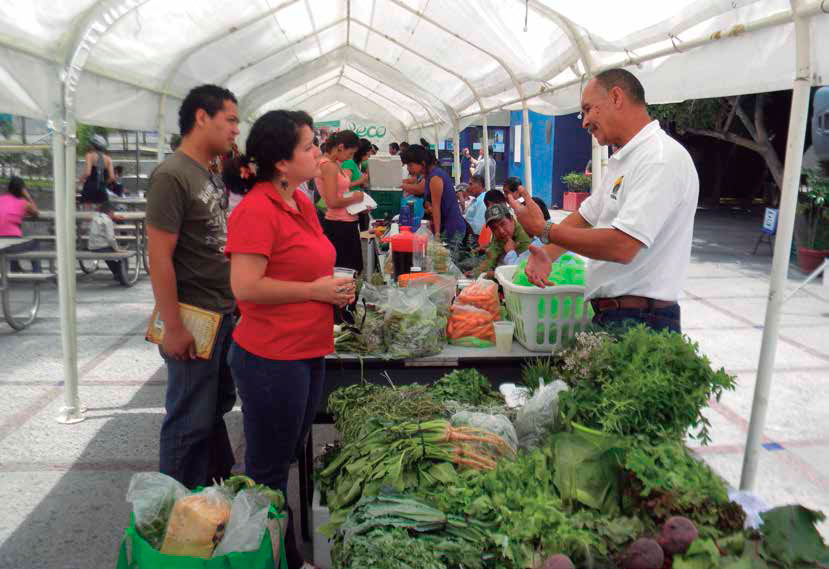 Mercado orgánico Macuilli. Archivos leisa