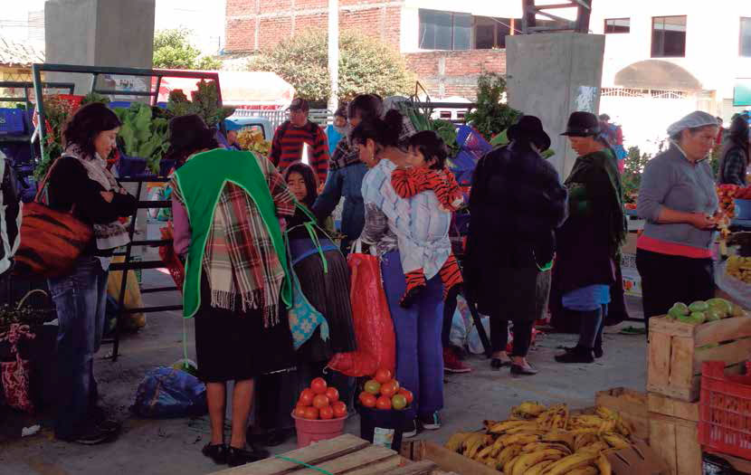 Feria en Cotopaxi. Pedro J. Oyarzun