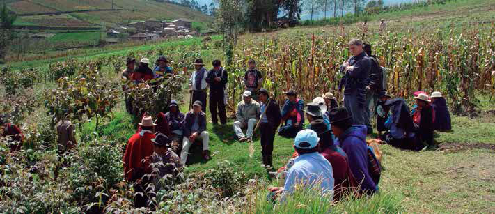 Encuentro. Ross M. Borja