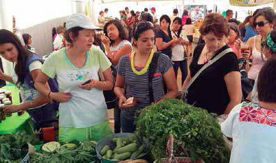 Mercado Macuilli Teotzin en la capital de San Luis Potosí. Autores